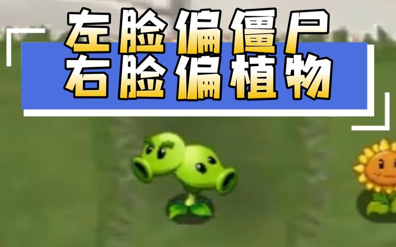 H版植物大战僵尸最新版本是多少？新手必知安装步骤防风险！