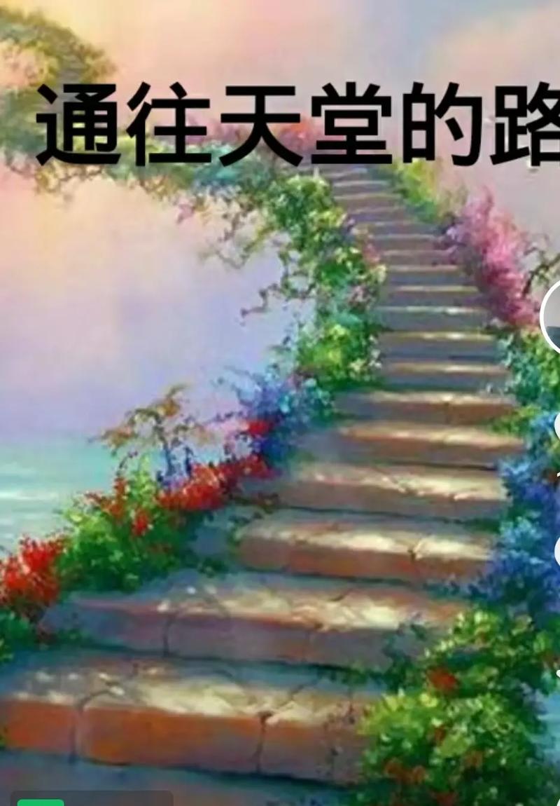 通往天堂的道路更新地址如何获取？手把手教你两步操作！