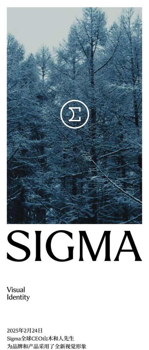 成为SIgma官方网站需要啥条件？手把手带你准备申请材料