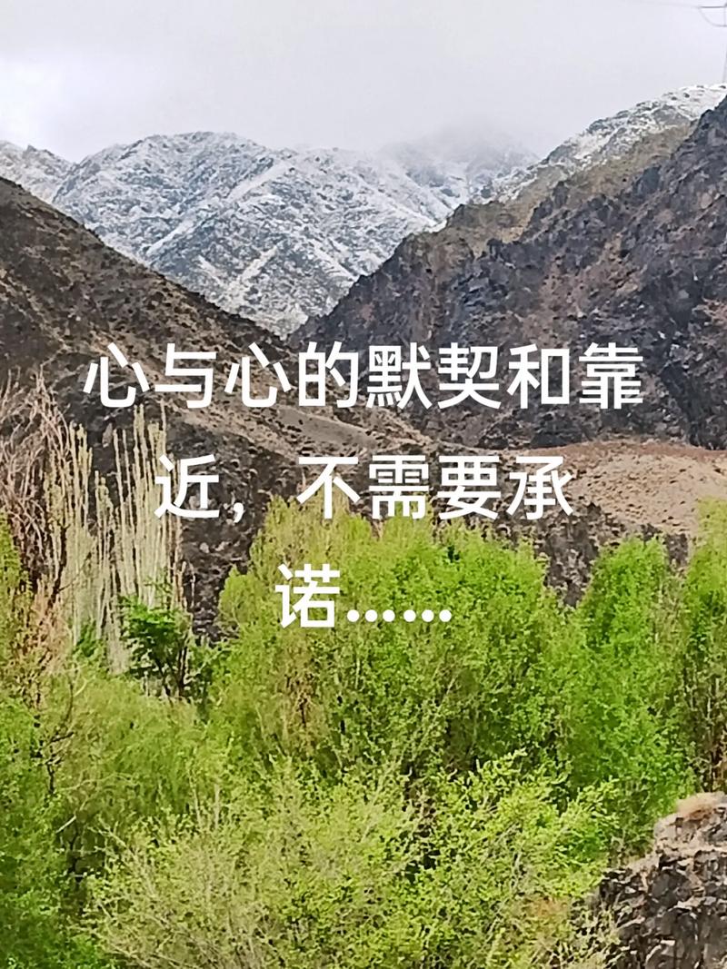 一个最好不要兑现的承诺aya线游戏攻略怎么选好？（版本对比评测推荐）