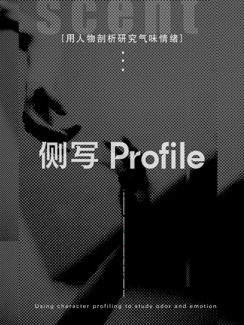 侧写者官方网站常见问题？资深用户解答帮你避坑！