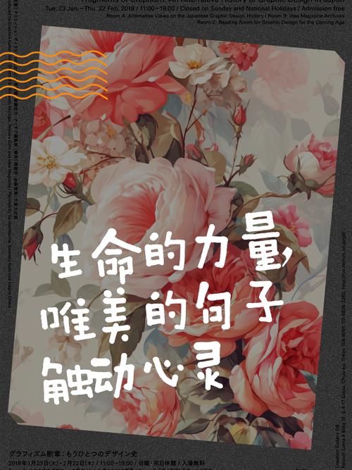 生命的回报最新版本是多少？老司机推荐更新避坑指南