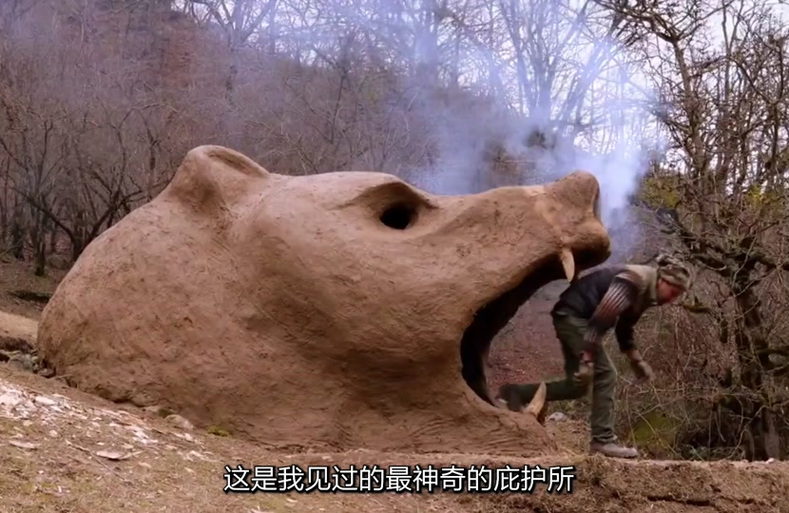 阳光下的野兽更新地址是什么？最新入口地址分享来了