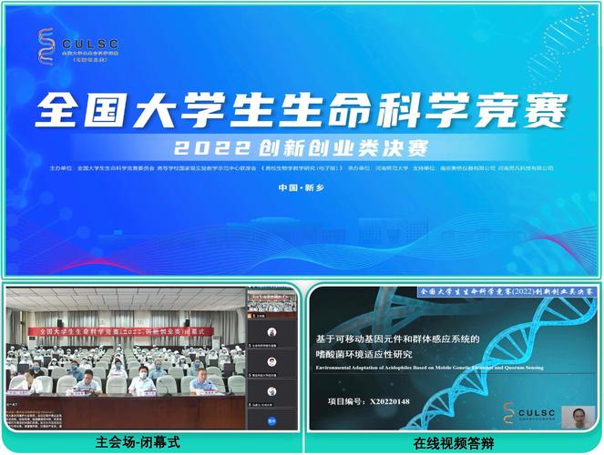 生命竞赛在哪下载链接分享？免费资源获取途径