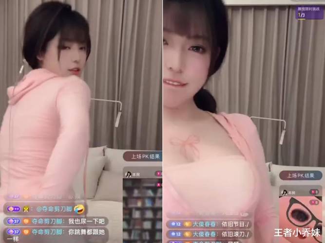 淑女广场下载入口推荐？(直接访问避免病毒风险)