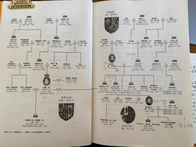 权力的代价版本大全值不值？资深用户评价揭秘！