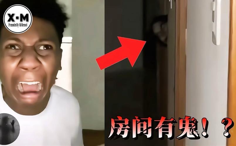 屋内有鬼最新视频在哪看(这些平台更新最快千万别错过)