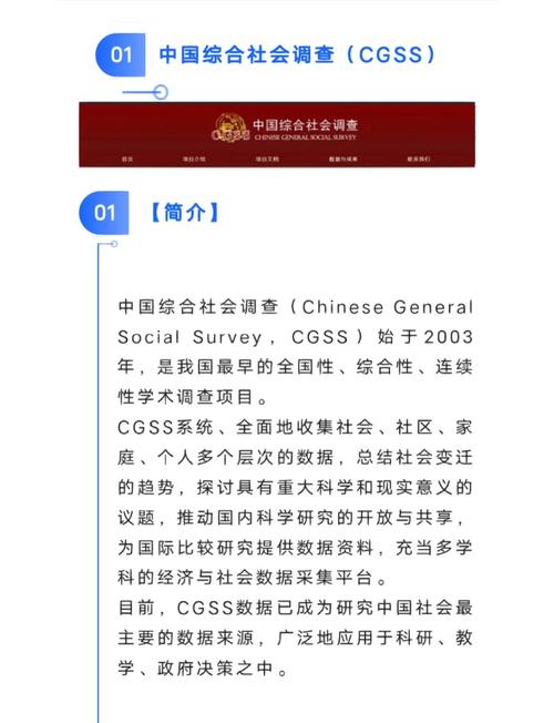 关键调查官方网站怎么使用？(5个实用步骤快速入门)