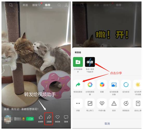 收看节目如何下载？手把手教你几个简单方法搞定！