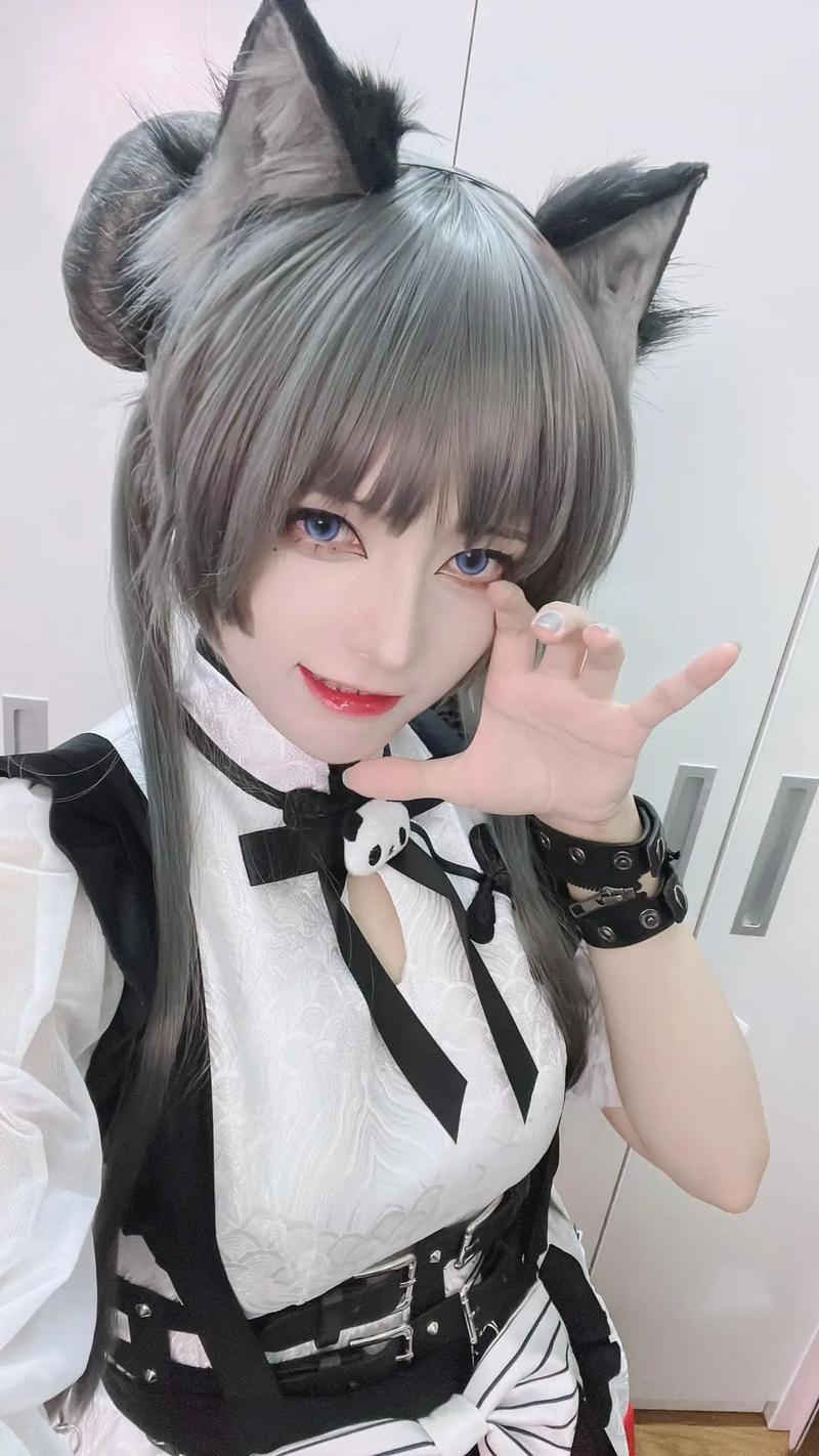 coser4官方网站哪个版本好？官方正版下载渠道全解析