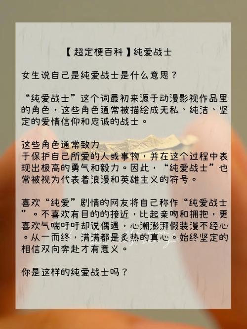纯爱战士官网内容有哪些？精彩功能介绍独家揭秘