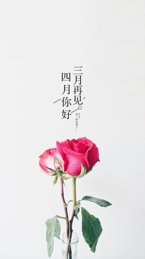 jinricp3月4日正式版最新版本比旧版好在哪？升级优势全面解析！