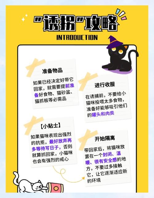 野猫游戏介绍特色亮点？三大优势吸引玩家！
