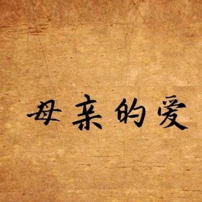 母亲的爱官方网站是什么？揭秘平台核心功能与优势点！