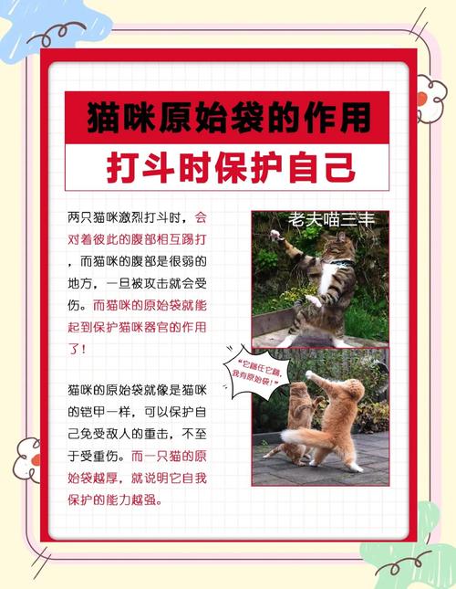 野猫如何下载安全可靠？避免病毒陷阱妙招