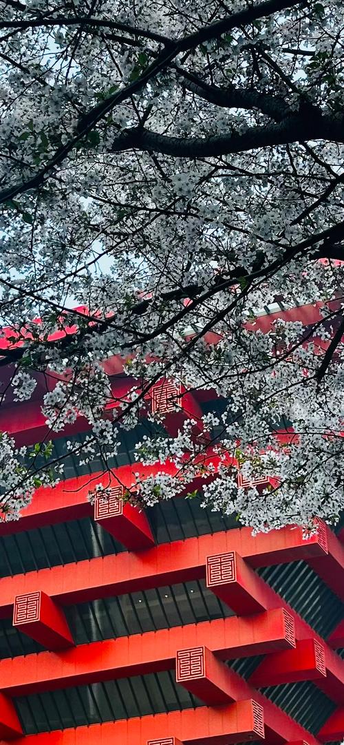 红樱花馆最新版本有什么变化？这些新功能抢先看！