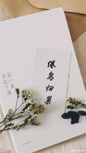 归巢安卓支持哪些手机？主流机型实测结果出炉！