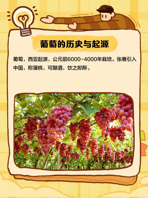 葡萄成熟时官方网站怎么下载？(简单几步安全安装指南)