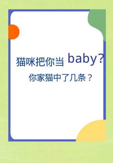 当你的猫咪下载地址有啥功能？趣味玩法全解析