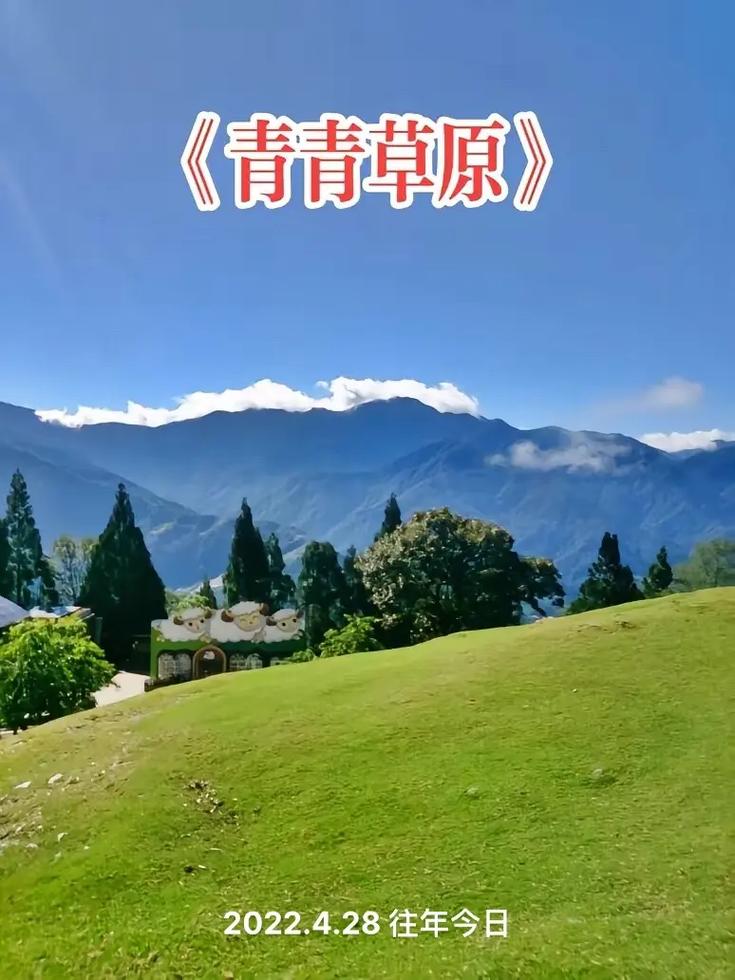 青青草原在哪下载最新方法？(行内人推荐这几步！)