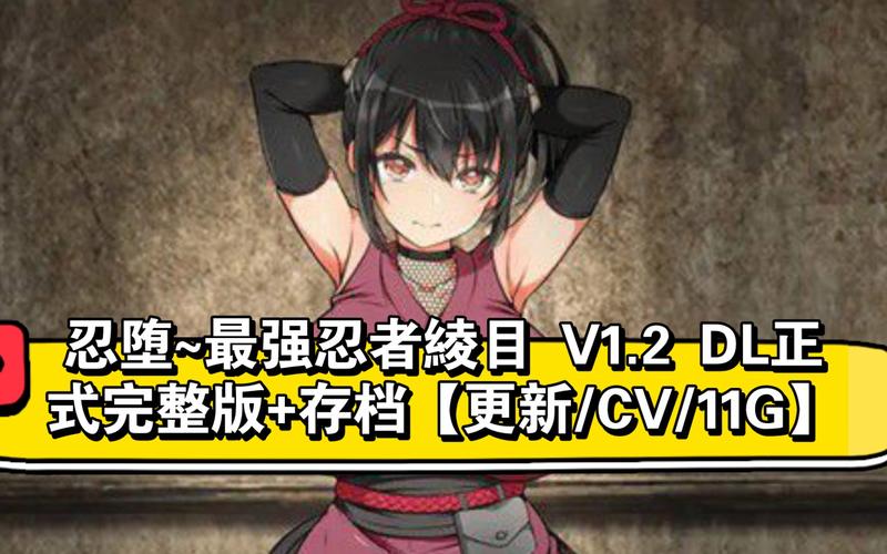女忍条教游戏攻略常见问题有哪些？(详细解法轻松搞定)