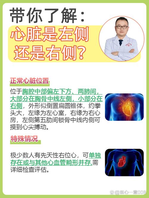 心脏问题更新地址重要吗？忽略后风险大需重视！