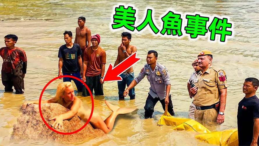 美人鱼之迷最新版本排位怎么上分？大神实战技巧分享