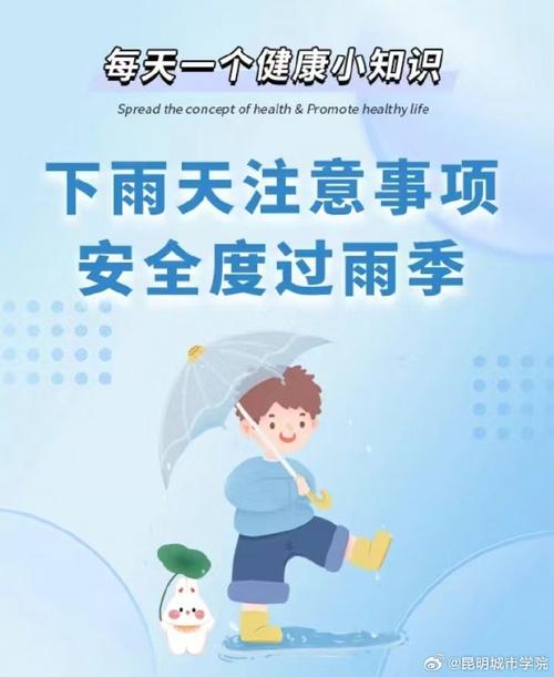 雨季官方网站安全可靠性吗？(专家解读隐私保护措施！)