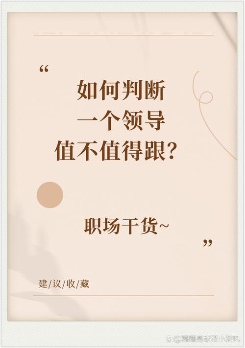 如何知道我不是领导者最新版本是多少？简单三步快速查询！
