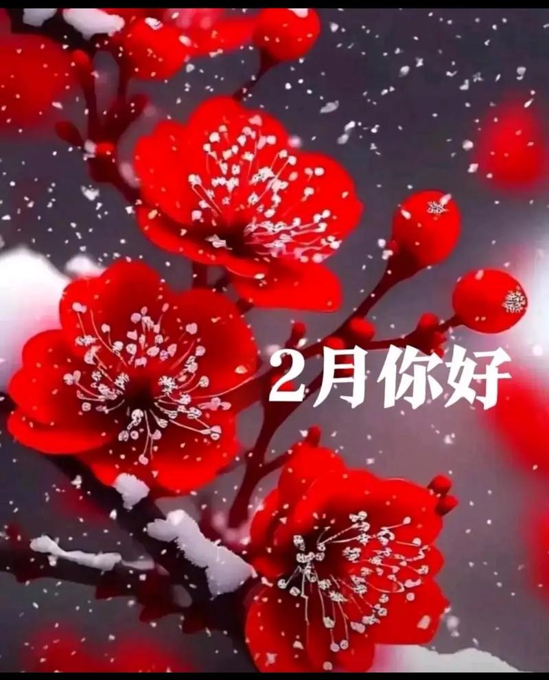 jinricp2月28日最新有啥内容？看完这篇你就全懂！