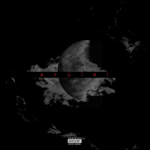 SingleAgain官方正式版下载步骤详解？(一键安装秘笈)