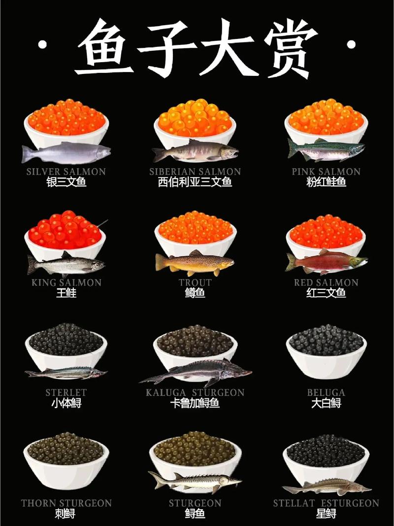 鱼子酱最新版本有哪些？2024热门功能全解析