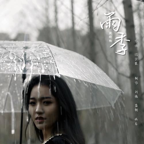雨季官方正式版下载最新版怎么装？三步教你安全安装！