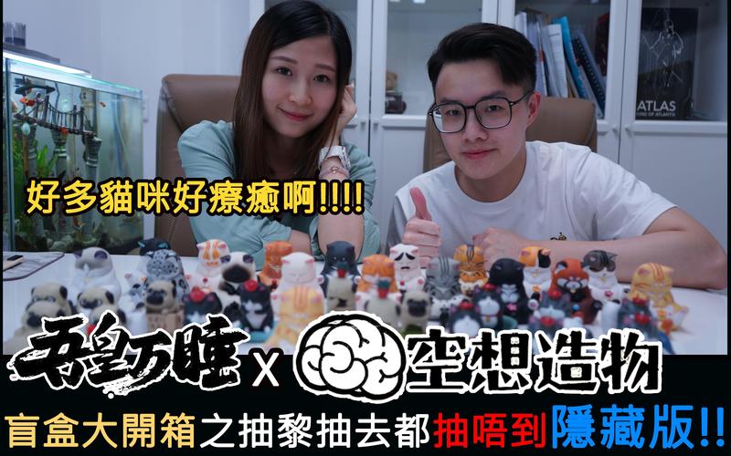 盯档猫游戏好不好玩？新手必看3步上手攻略