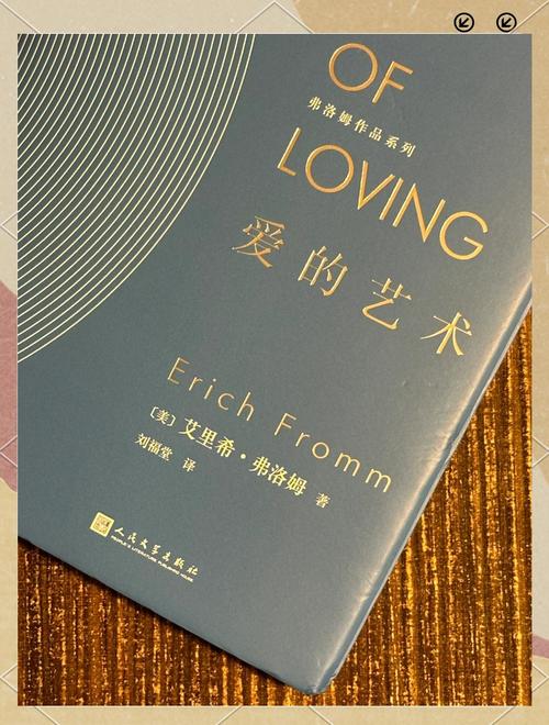 外交与爱的艺术杨过游戏剧情好看吗？深度解析爱情外交