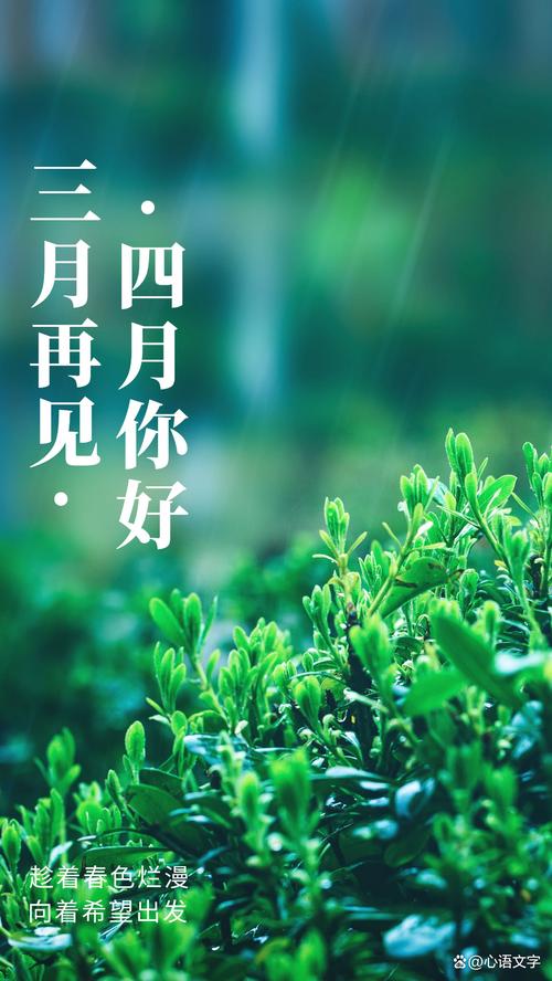 jinricp3月4日正式版汉化版如何升级？手把手教你操作步骤