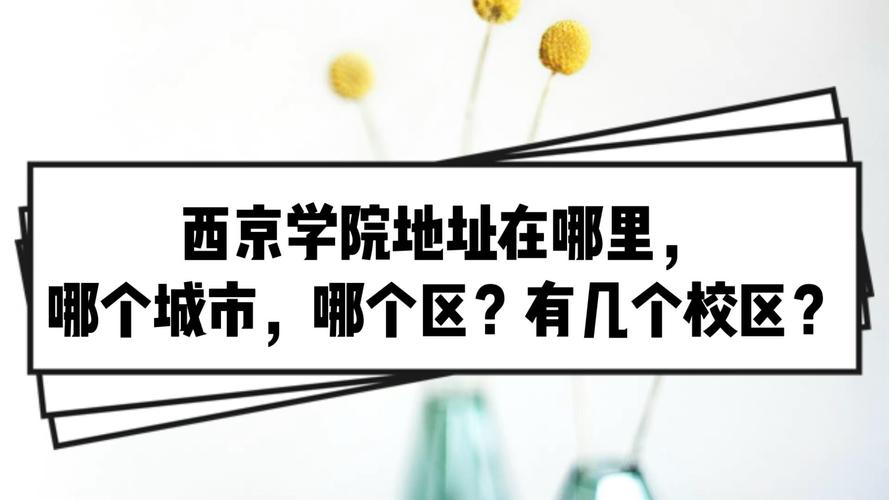 神级学院更新地址在哪里？官方入口快速锁定！