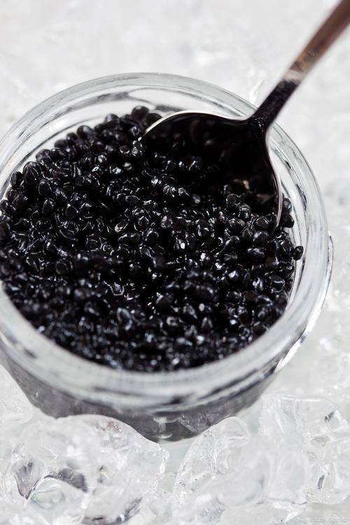 鱼子酱最新版本有哪些？2024热门功能全解析