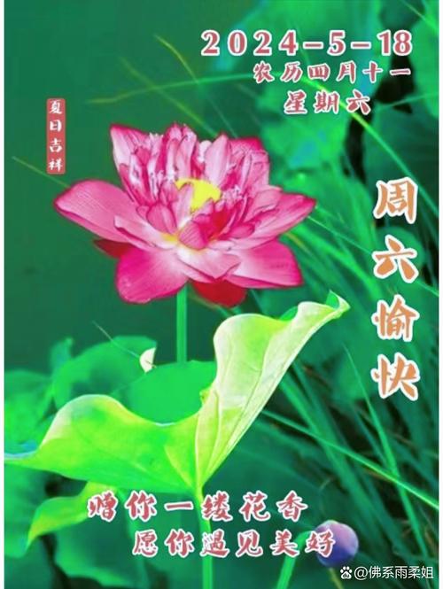 夏日芬芳版本大全有哪些？热门10款必看推荐！