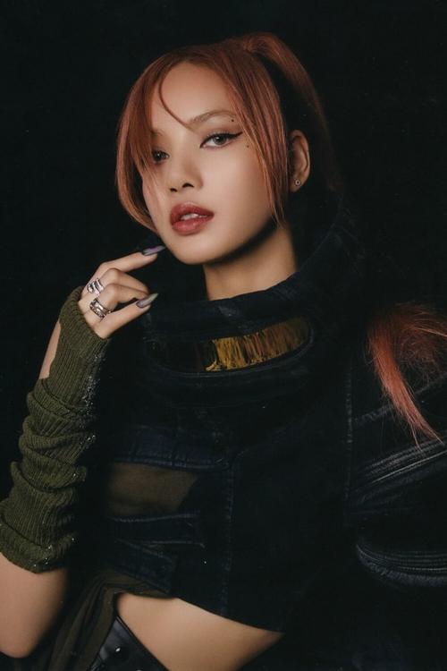 丽莎在哪下载到手机？(安卓苹果完整教程大放送！)