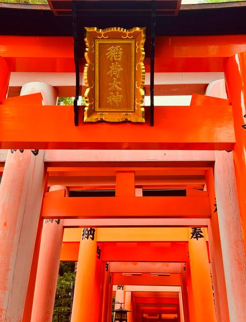 神社的大穴如何下载？简单方法步骤快速搞定不麻烦！