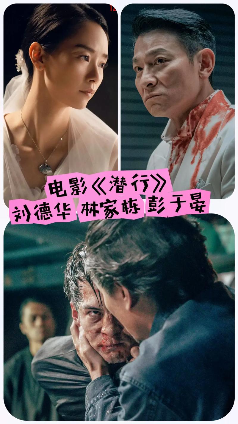 亚裔特工潜行记最新版在哪下(官方正版下载渠道全解析)