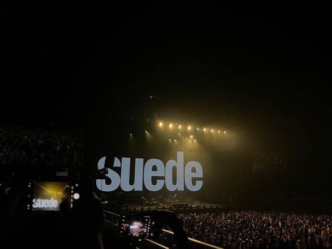 SingleAgain官方正式版下载步骤详解？(一键安装秘笈)