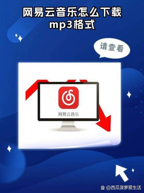 下载肉壶村怎么操作？简单步骤新手必看！