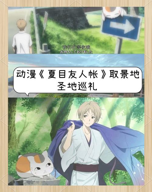 夏目友人帐游戏攻略难点在哪？轻松应对策略大公开