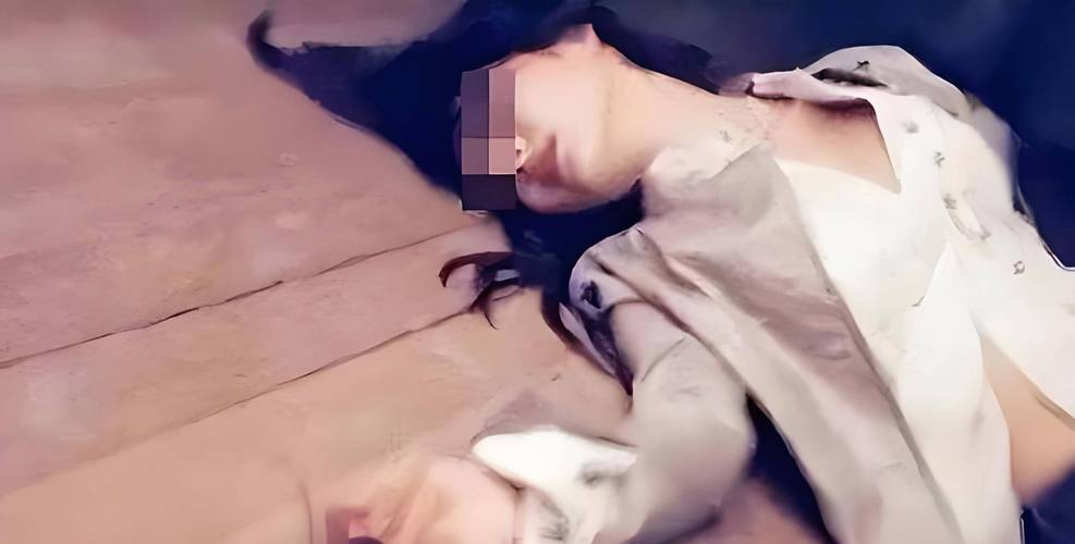 在腐败之网中最新版本怎么下载？简单三步搞定免费获取！