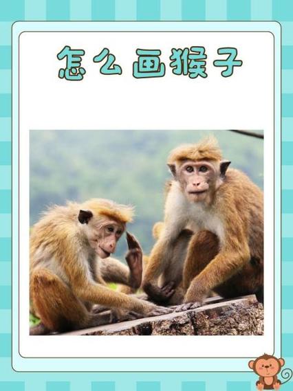 猴子生意官方网站怎么用？简单步骤快速上手指南！