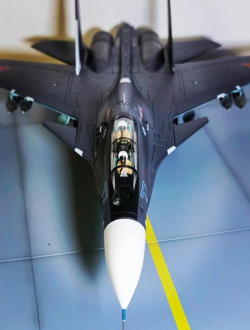 SM航空官方正式版下载哪里找？最新版获取方法大揭秘