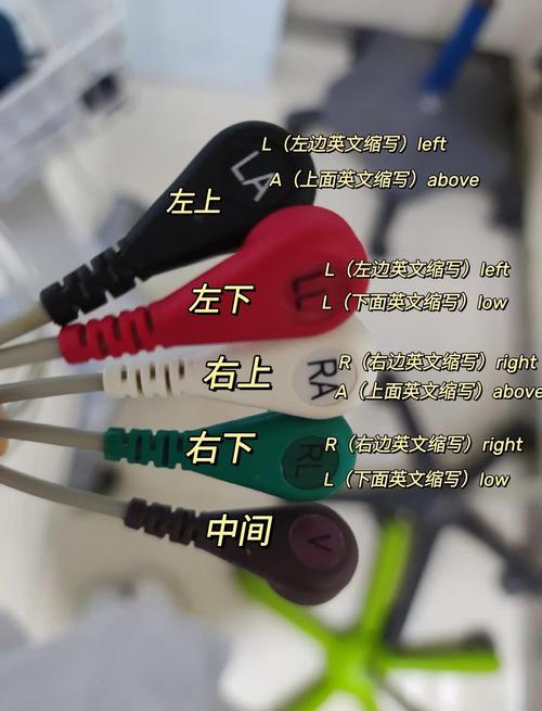 监护人在哪下载教程哪里找？图文视频新手快速学会！