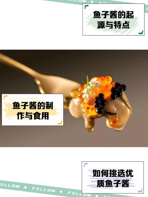 鱼子酱游戏介绍适合谁玩？目标人群深度分析指南！
